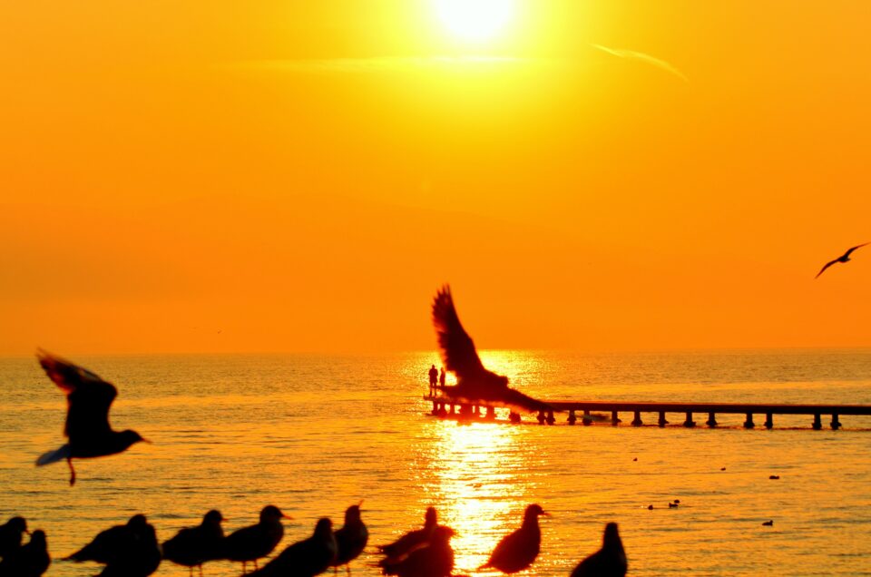 En İyi Selfie Çekmek İçin Öneriler